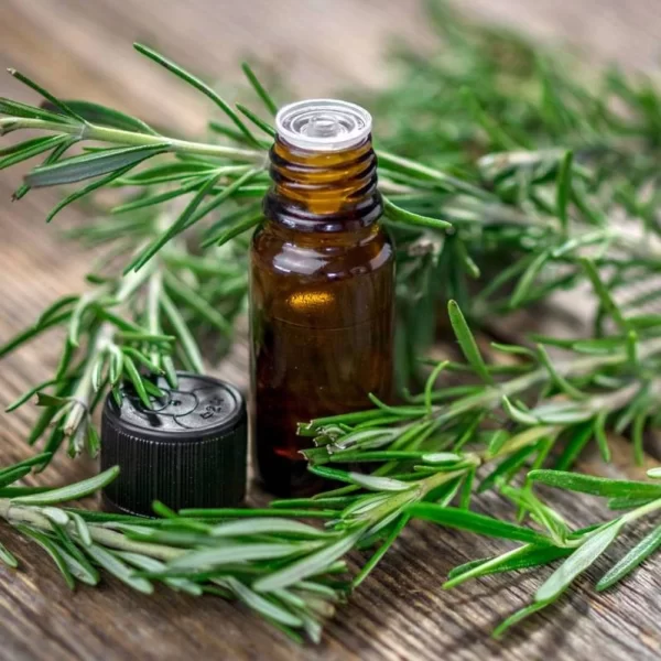 Essential Oil, Rosemary Oil - 59 ml. main image 0