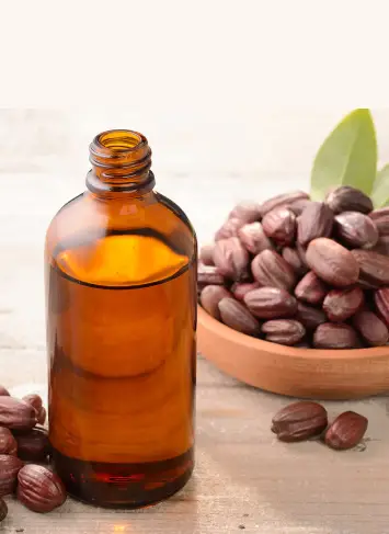 jojoba oil