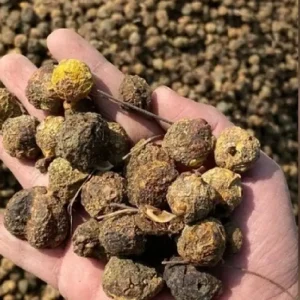 dry amla by rosomart